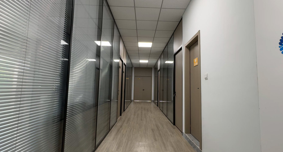 zs08.jpg
